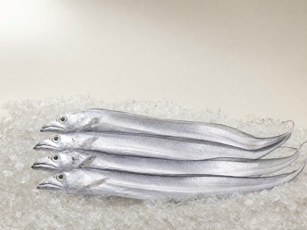 Ribbon Fish